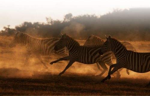 East Africa Travel Destinations East Africa Travel Destinations