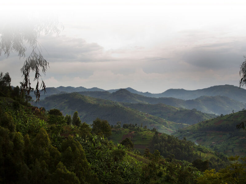 Mount Elgon Hiking Safari Mount Elgon Hiking Safari