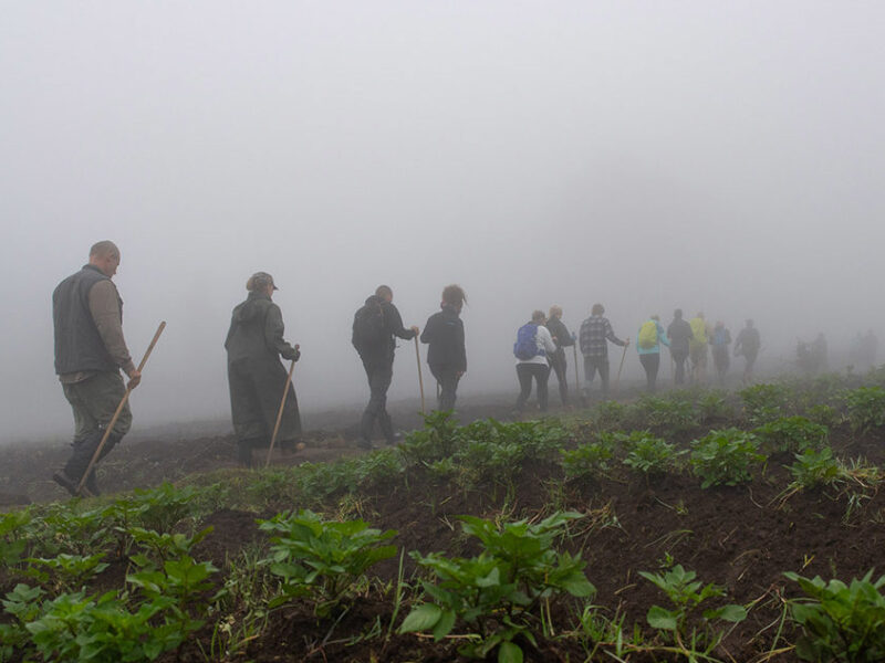 Mount Elgon Hiking Safari Mount Elgon Hiking Safari