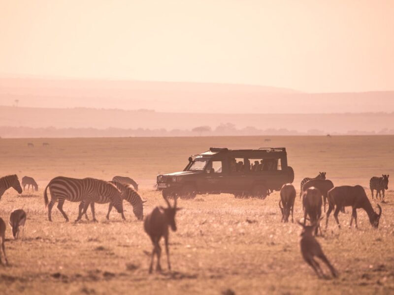 Samburu Wildlife Safari Kenya Samburu Wildlife Safari Kenya